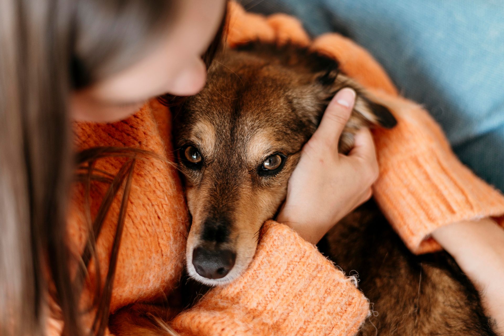 woman petting her dog